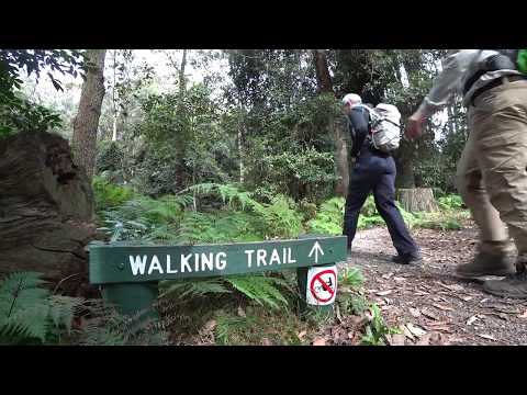 Abbotts Falls Walking Track