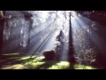 Musik Relaksasi Alam Suara Burung Di Hutan Rimba Mp3 - Mp4 Download