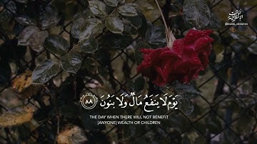 حالات واتس قران كريم بصوت جميل يريح القلب 🌿#quran #قران_كريم