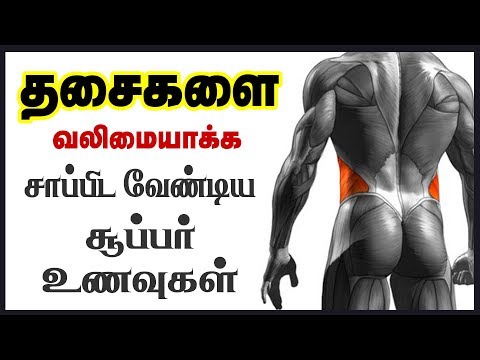 உடல் தசையை வலிமையாகும் உணவுகள் / muscle strength food / best food for muscle strength