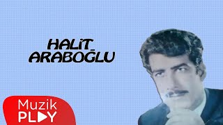 Sürünüp Gidiyorum - Halit Araboğlu  Resimi