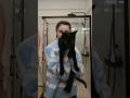 the cat is a non-paid actor | not_a_symphony on #twitch