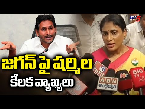 YS Sharmila Comments On YS Jagan In Ongole Tour || TV5 News - TV5NEWS