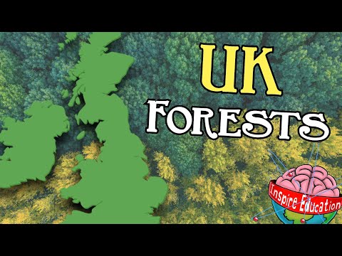 Video: Var Storbritannien en gång täckt av skog?