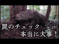 #149【有害鳥獣駆除】毎日の罠の見回りで捕獲率UPします！ - Monitoring your traps daily will increase your capture rate.！
