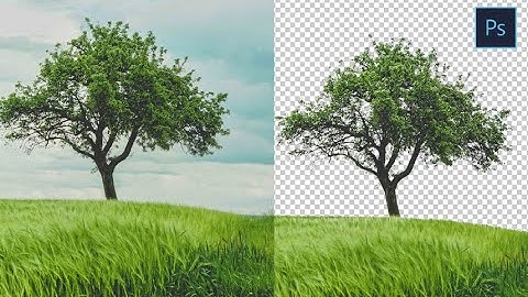 how to cut out tree & remove sky in Photoshop in Hindi (the easy way)