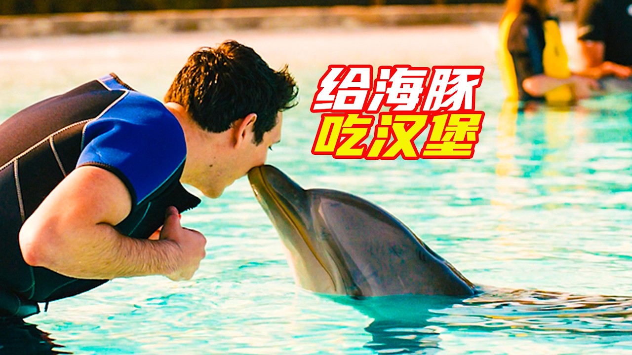 小夥給海豚吃炸鷄和漢堡，結果芭比Q了；獵奇，喜劇，搞笑，電影解説合集