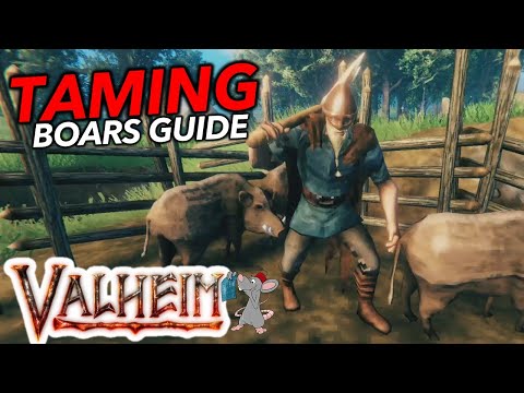 Unlimited leather Scraps! How To Tame Boars In Valheim Quick Guide