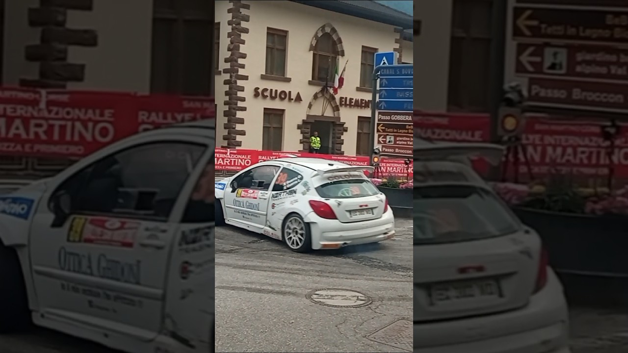 Peugeot 207 S2000 PURE SOUND 🔥 