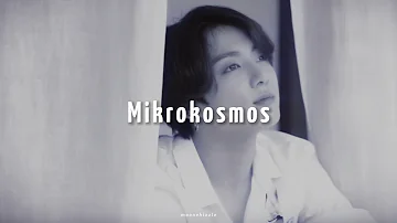 BTS- Mikrokosmos (slowed+reverb) •