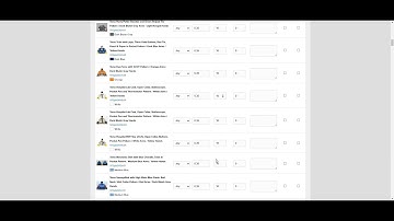 Upload XML wanted list on Bricklink
