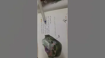 أحياء الفجوات الخلية النباتية الصف الأول المتوسط 