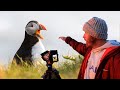 I FINALLY Photograph PUFFINS