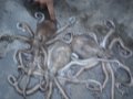 SQUID FETISH