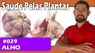 Health Through Plants - Garlic [cancer, heart, circulation, hypertension, cholesterol, liver]