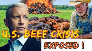 265 Biggest U.S. Cattle Ranches Collapse After Trump’s Argentina Beef Deal Backfires