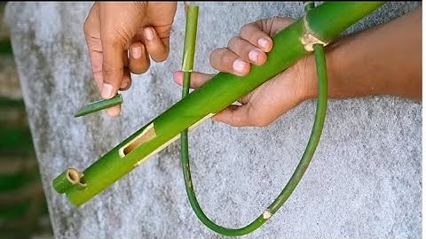 Bamboo Creations with New Slingshots