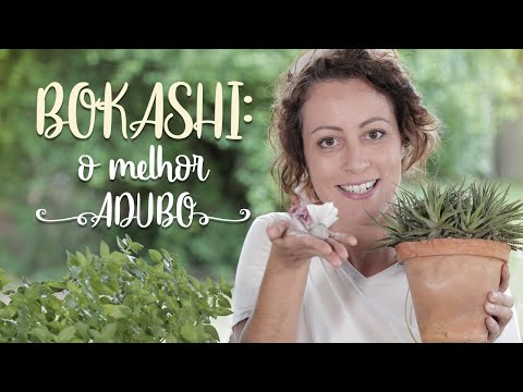 Vídeo: Por que o bálsamo de abelha não floresce - razões para não ter flores nas plantas de bálsamo de abelha