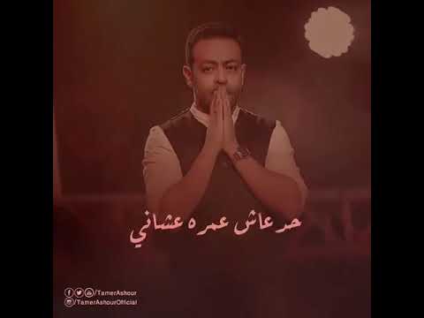 عمرى ما أنسى انا قبلك كنت في ايه تامر عاشور
