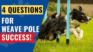 4 Questions to Unlock Weave Pole Training Success for You & Your Dog | Dog Agility