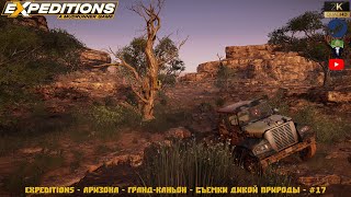 Expeditions - Аризона - Гранд-Каньон - Съемки дикой природы - #17