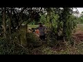 Cleaning up broken wall on historic farm