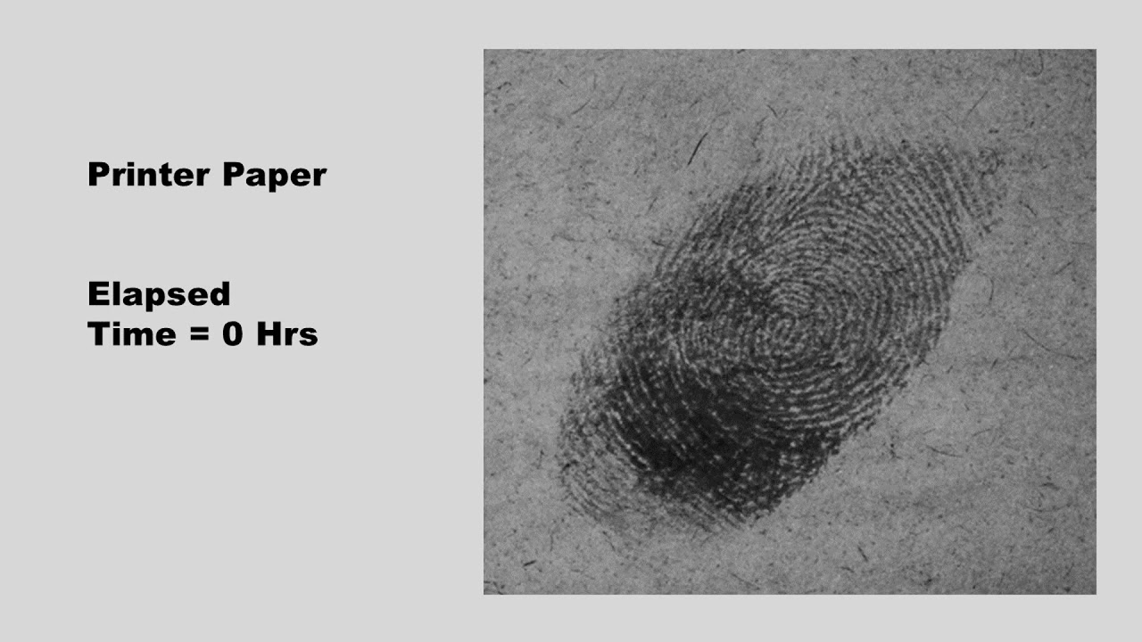 Lifting Latent Fingerprints From Porous Paper