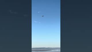 SpaceX Part 4 Booster Landing back at Vandenberg