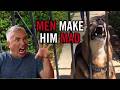 This Shepherd HATES MEN