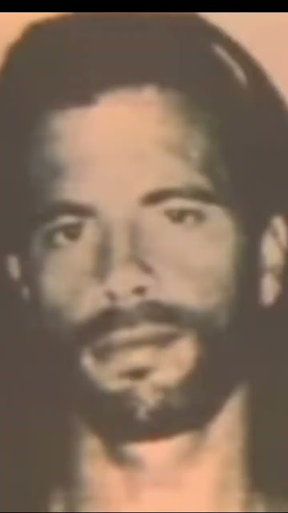 Renegade (Updated Martial Arts / Fight) Intro - Lorenzo Lamas