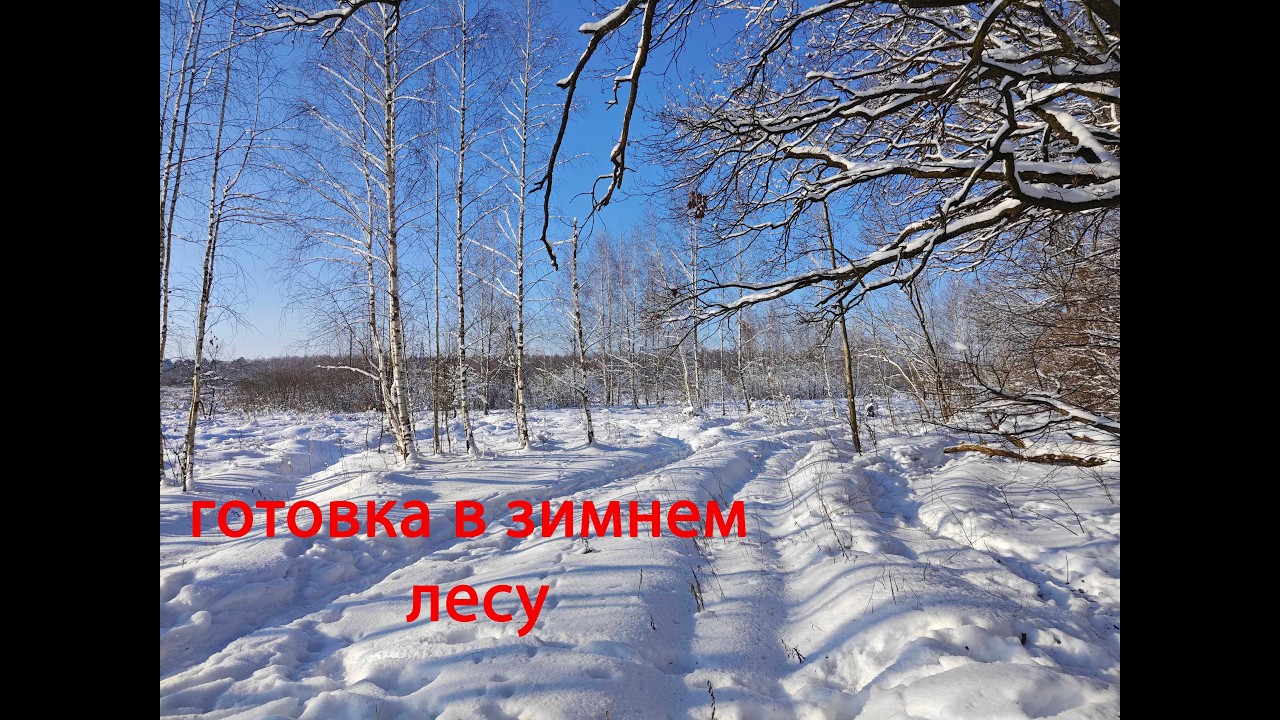 Зимняя готовка в лесу