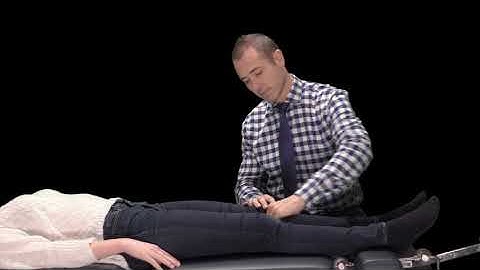 Hip Adductor Squeeze Test