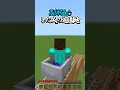 〇〇した人の遊園地【マインクラフト】#マイクラ #shorts