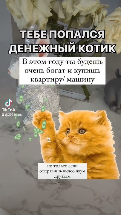 Денежный котик - YouTube