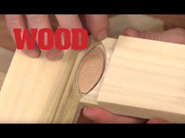 Biscuits Per Foot of Wood? - Woodworking, Blog, Videos