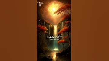 ارح سمعك ✨🎧🩶| #القرآن_الكريم #قرآن #تلاوة_هادئة #سعد_الغامدي