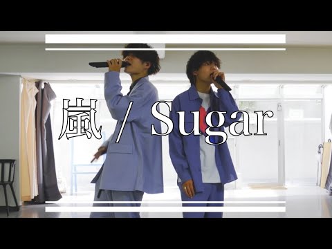 嵐 / Sugar【アザラシ】