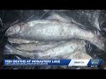 Hundreds of fish reported dead at Monastery Lake amid heat, drought