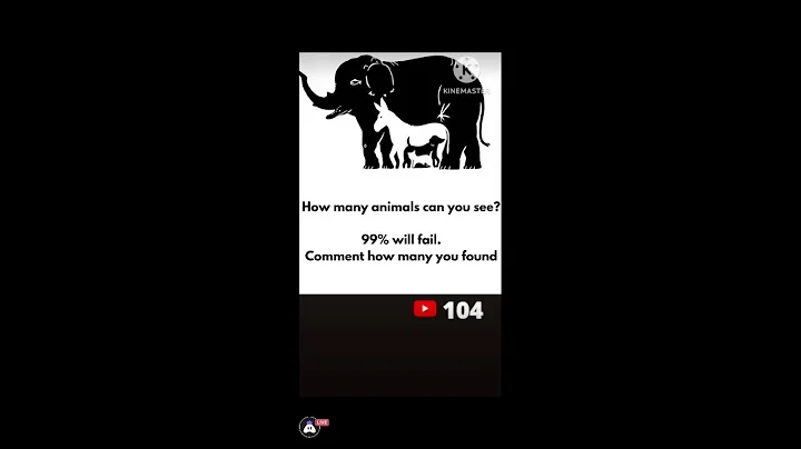 IQ-TEST: Can you solve it?