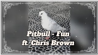 Pitbull - Fun ft. Chris Brown lyric