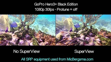 Underwater SuperView vs Non SuperView Comparison - GoPro Tip #303 | MicBergsma
