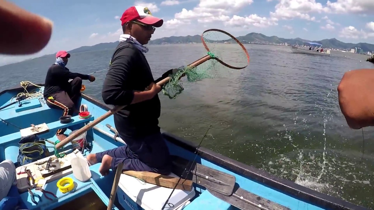 HAND LINE FISHING FOR FOOD on the BOAT Mackerel, Salmon, Catfish