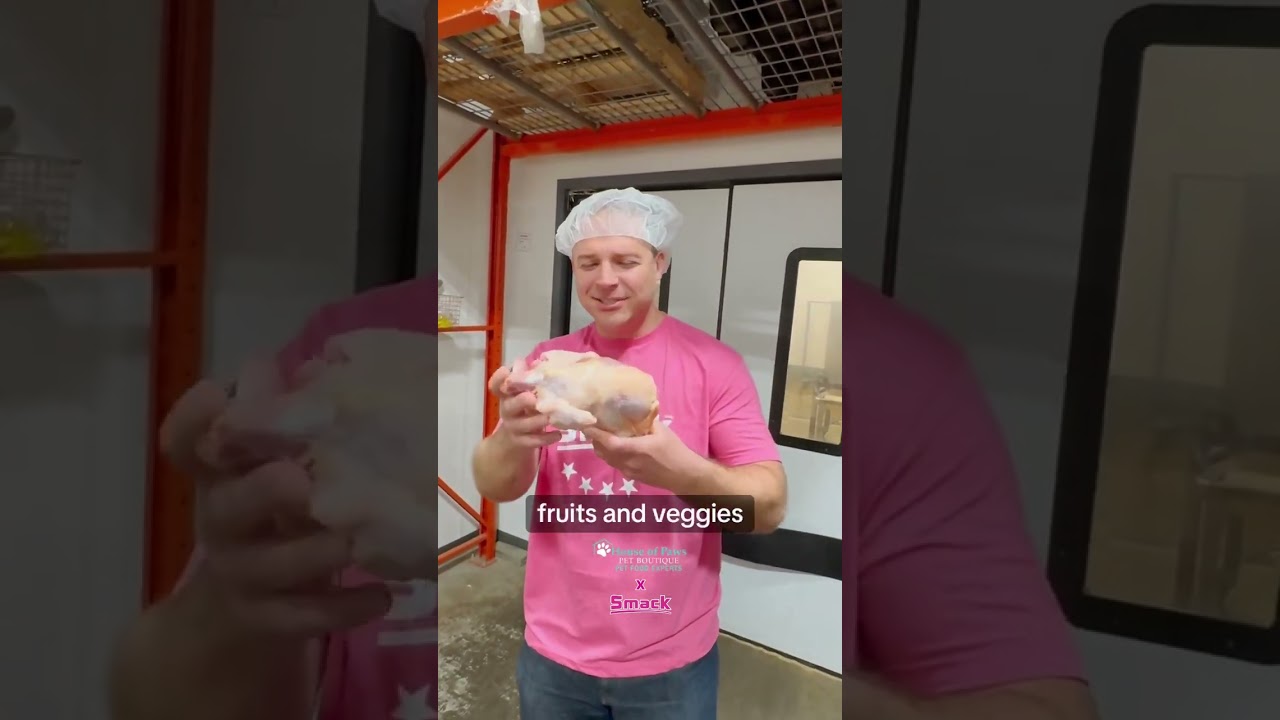 Smack x House of Paws Visit