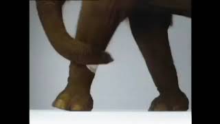 RSPCA - Animals (2000's, Australia)
