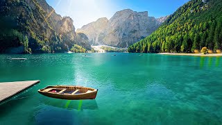 Beautiful Relaxing Music - Calm Nerve Music, Overcome Overthinking, Heart Therapy, Relaxation