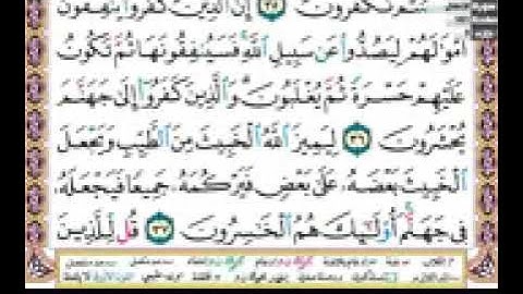 سورة الأنفال / مكتوبة كاملة  / بصوت ابو بكر الشاطري
