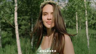Zelnara - One Day (Original Mix)