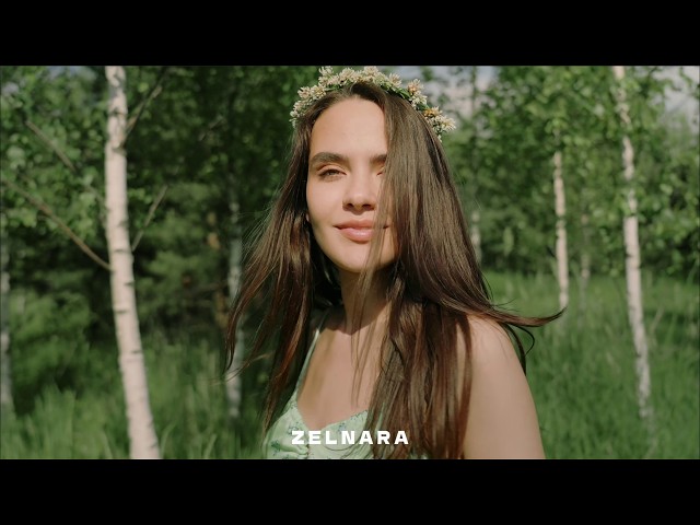Zelnara - One Day (Original Mix)