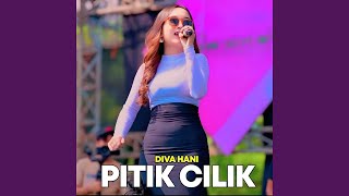 Pitik cilik