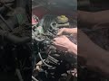 مرجعة وتصليح دفيرت كهرباء عربية جيب شروكى مرجعة وتصليح دفيرت كهرباء عربية جيب شروكى